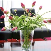 Picture Of Dentist Waiting Room